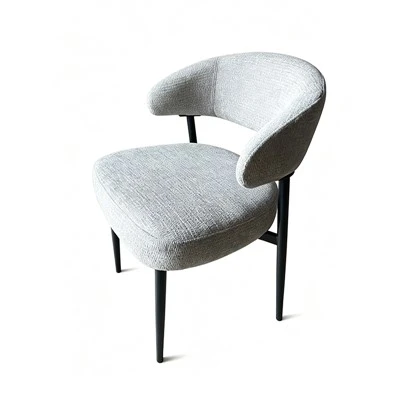 Modern Casual Chairs
